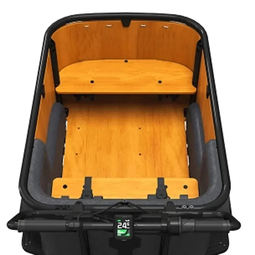 Cangoo Buckle Up – Juoda