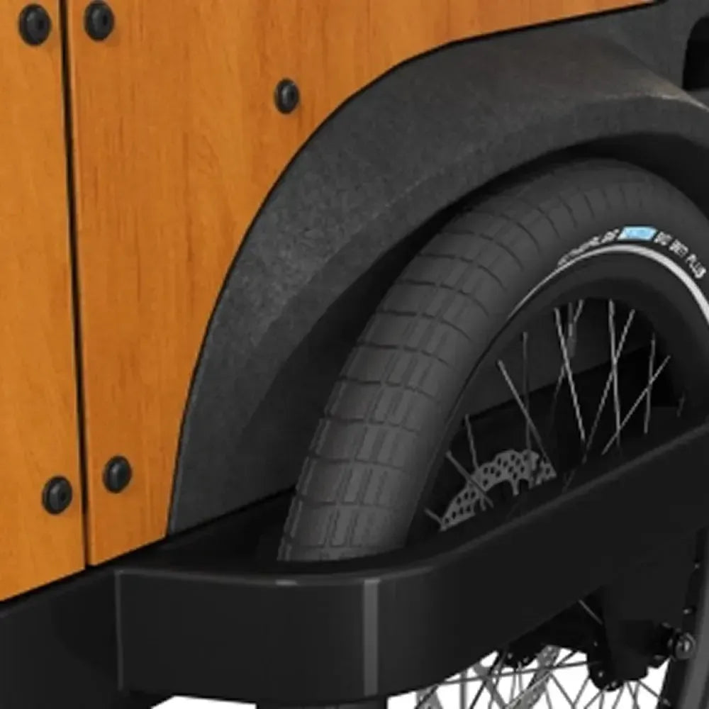 Cangoo Buckle Up – Juoda