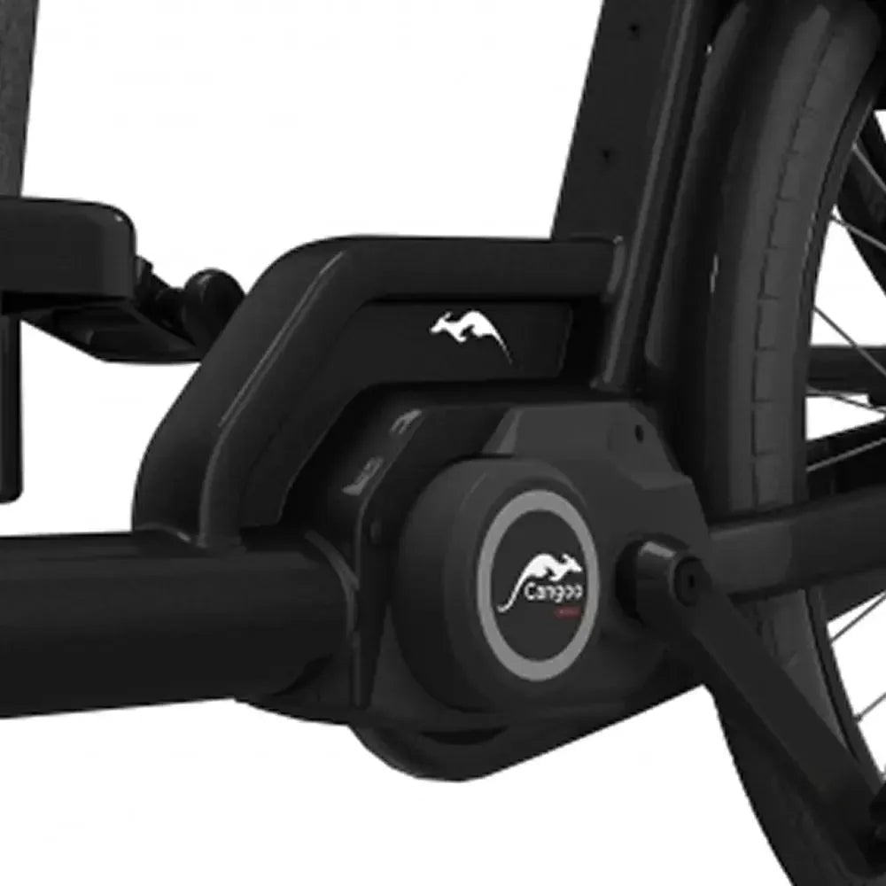 Cangoo Buckle Up – Juoda
