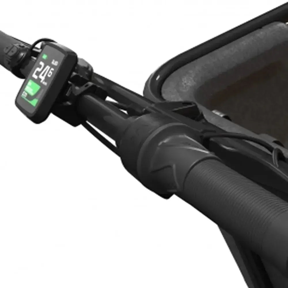 Cangoo Buckle Up – Juoda
