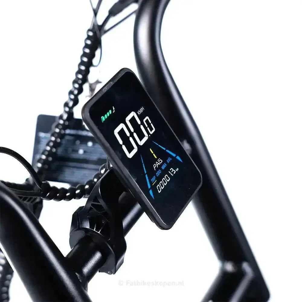 EB2 Pro – Bruin