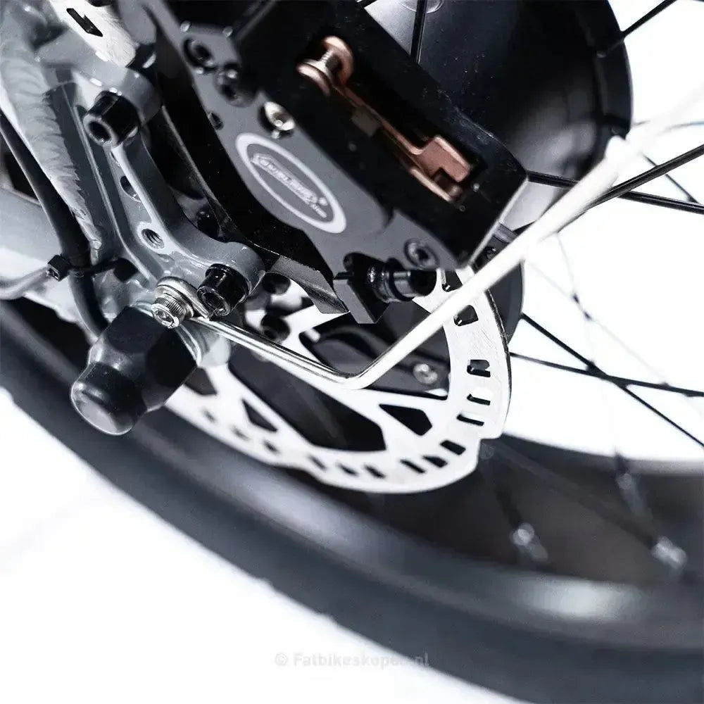 EB2 Pro – Bruin