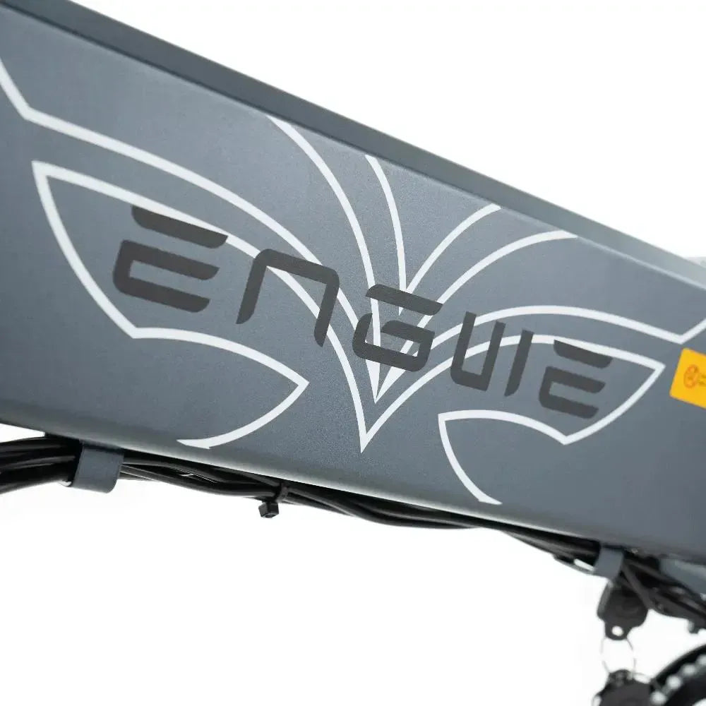 ENGWE EP 2 Pro - Pilka