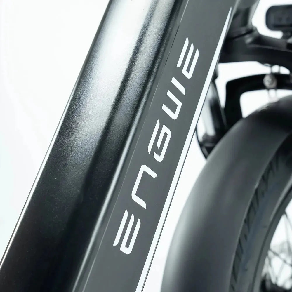 ENGWE L20 3.0 Pro – Juoda