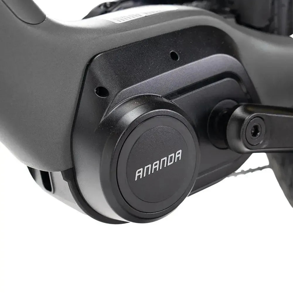ENGWE Mapfour N1 Pro - Pilka
