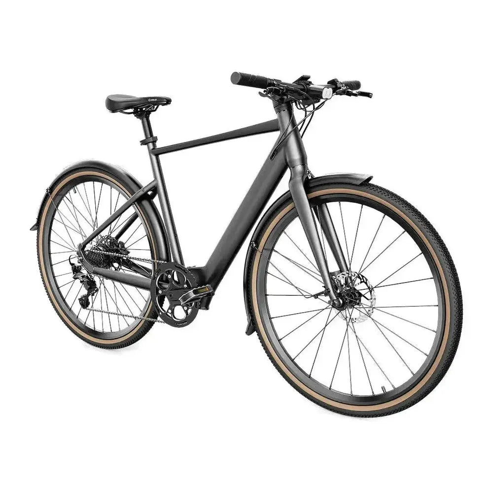 Fiido C21 - Pilka