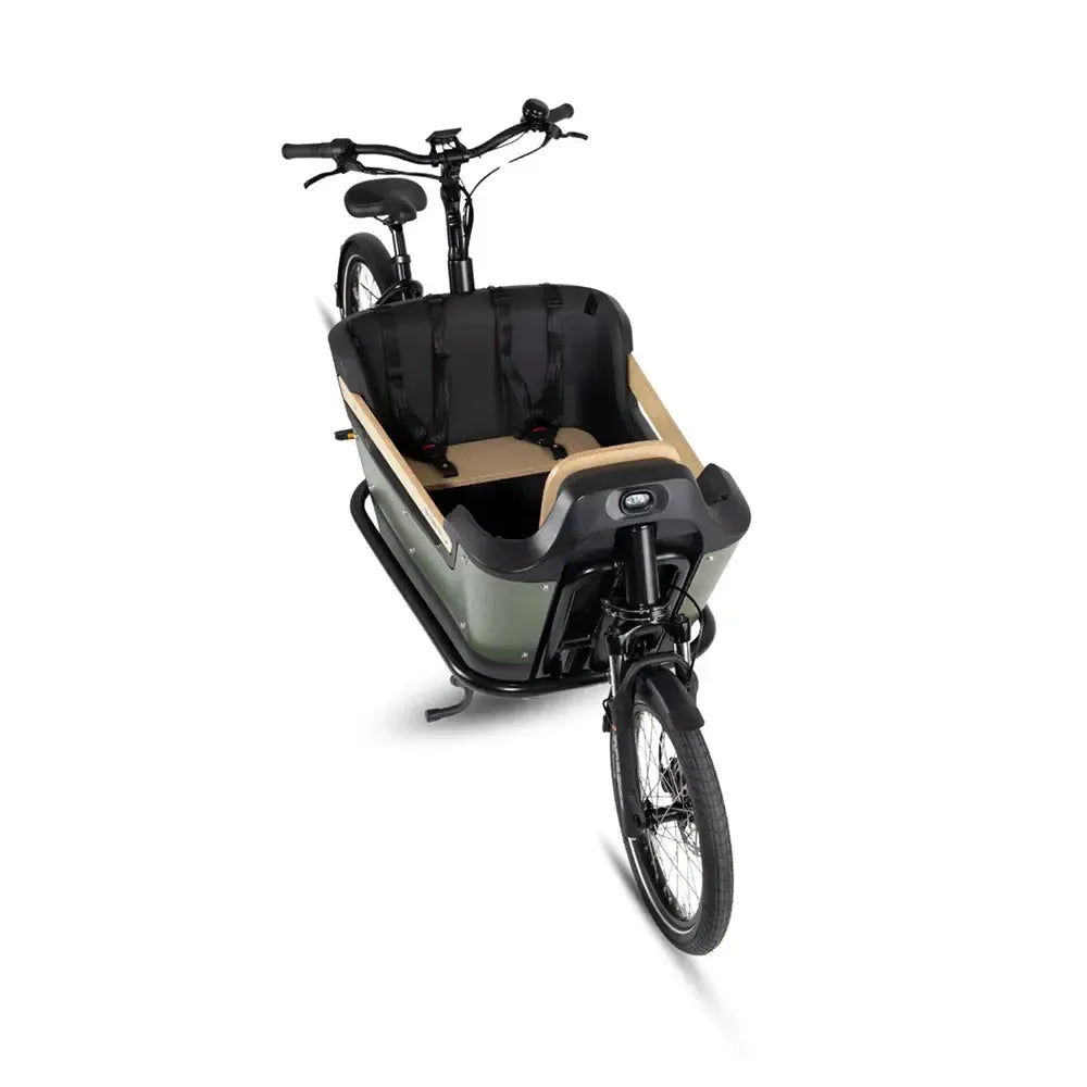 Royal Cargo Bike 2W Premium Plus – Žalias