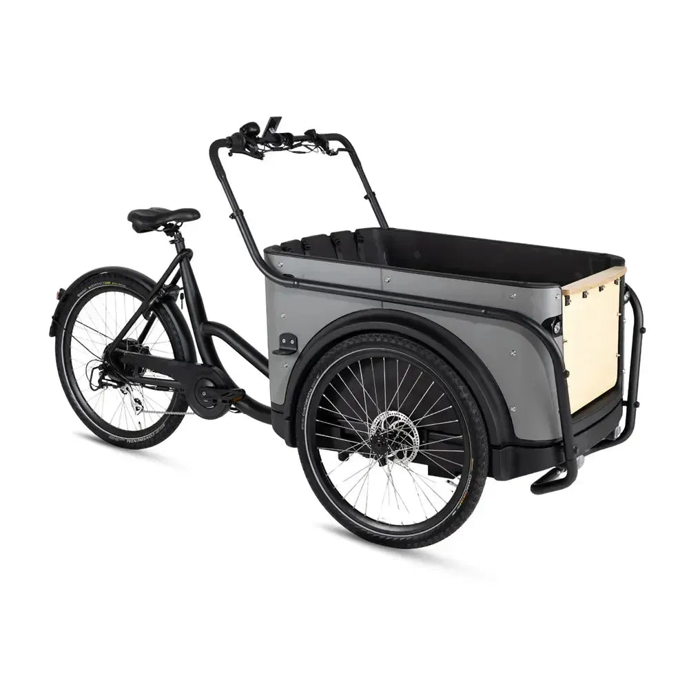 Royal Cargo Bike 3W Eco – Pilka
