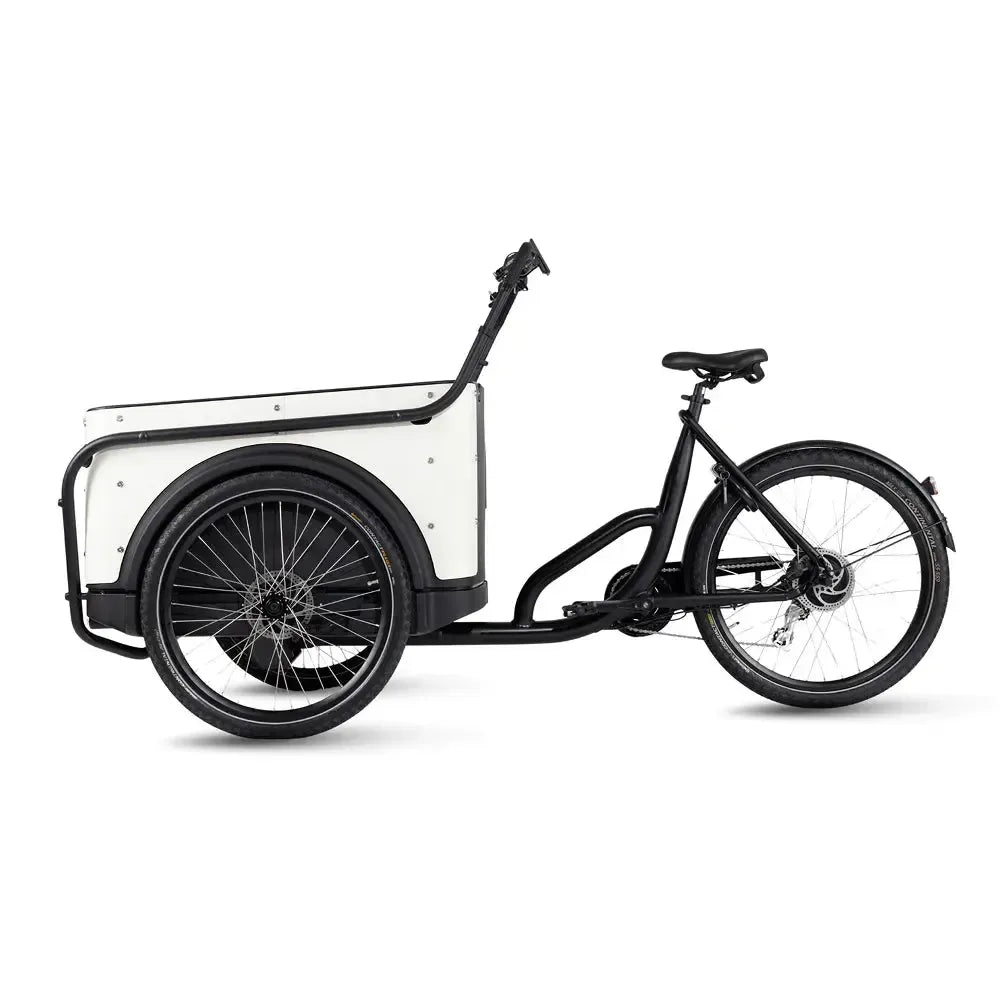 Royal Cargo Bike 3W Eco – Balta