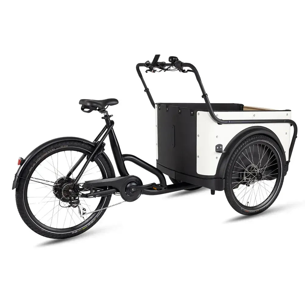 Royal Cargo Bike 3W Eco – Balta