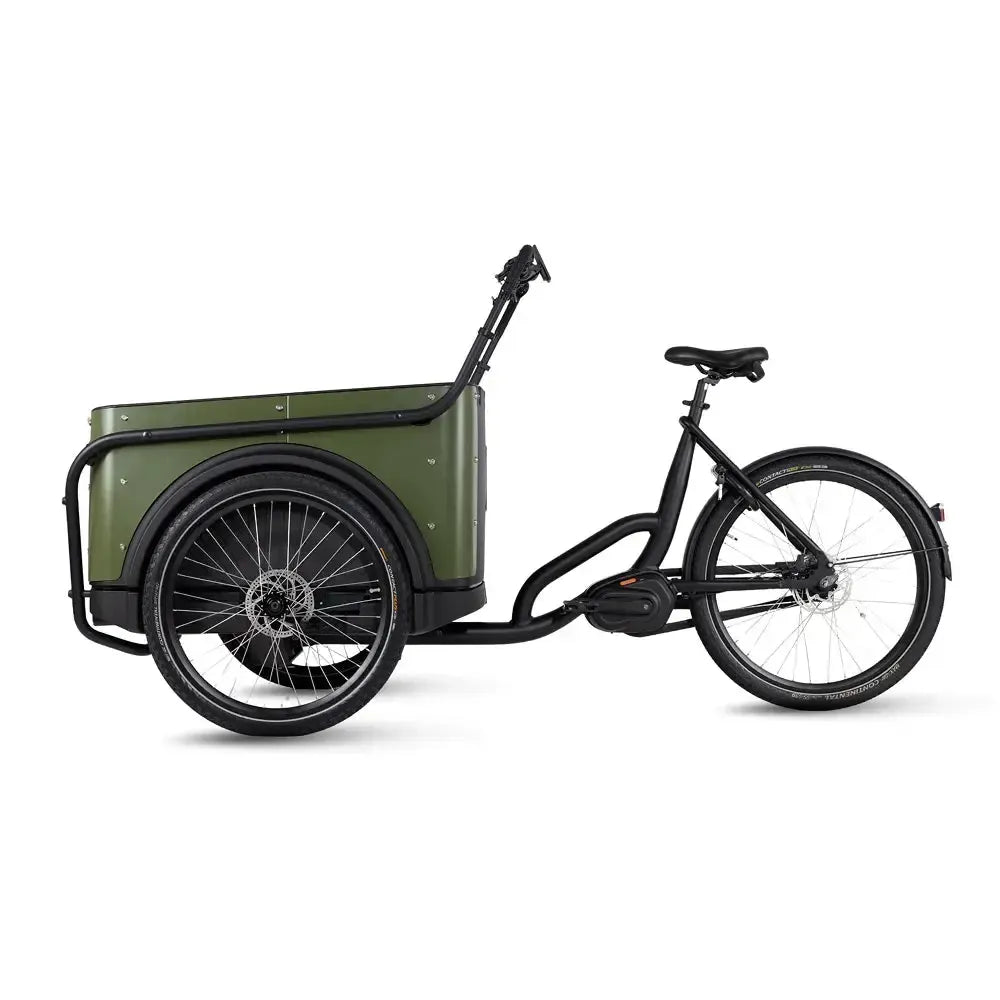 Royal Cargo Bike 3W Premium – Žalias