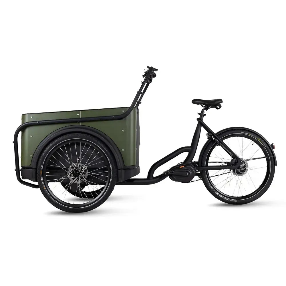 Royal Cargo Bike 3W Premium Plus – Žalias