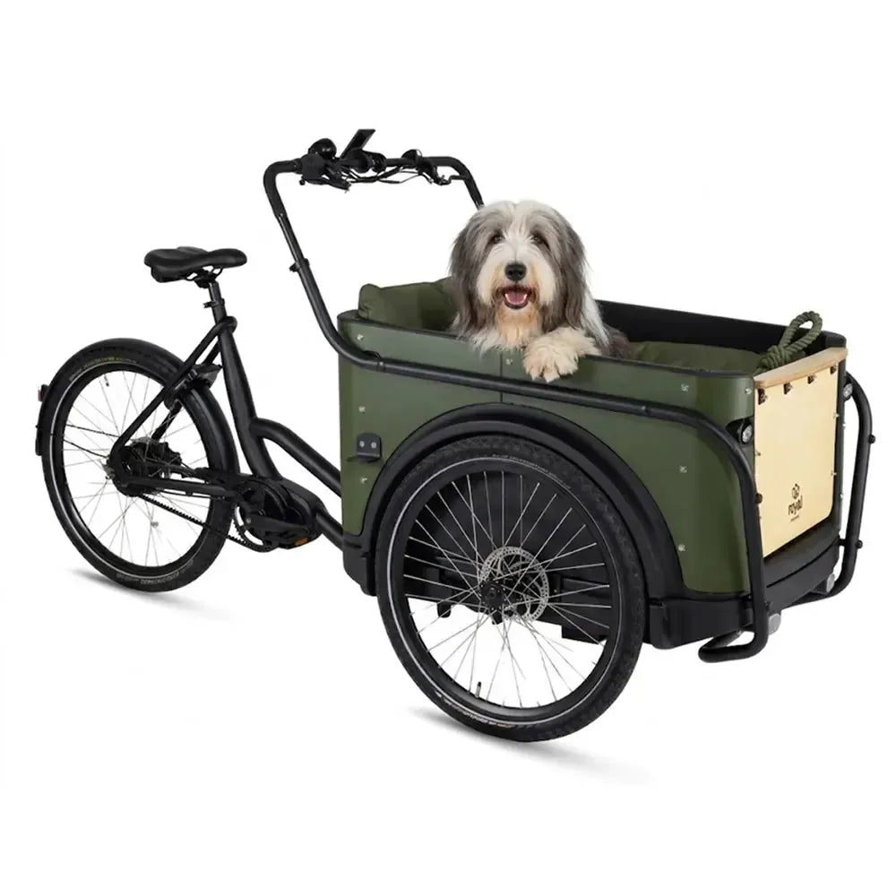 Royal Cargo Bike 3W Premium Plus – Žalias
