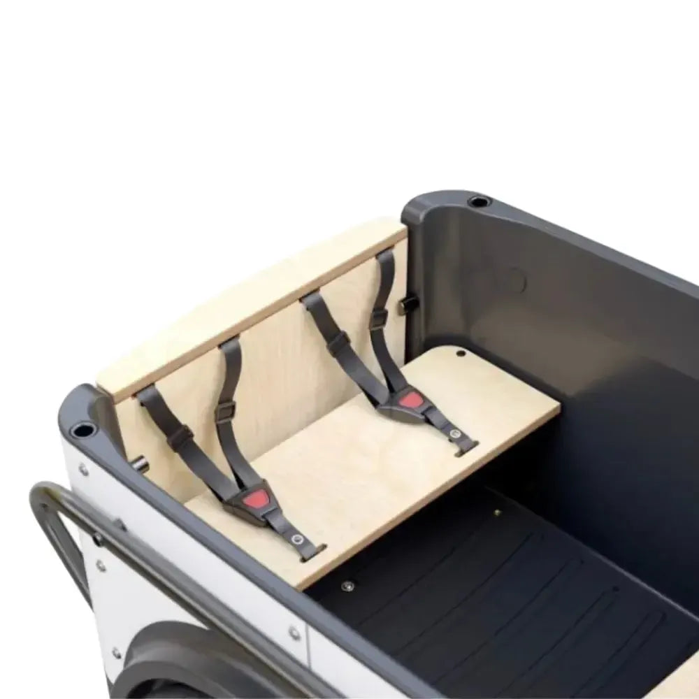 Royal Cargo Bike 3W Premium Plus – Žalias