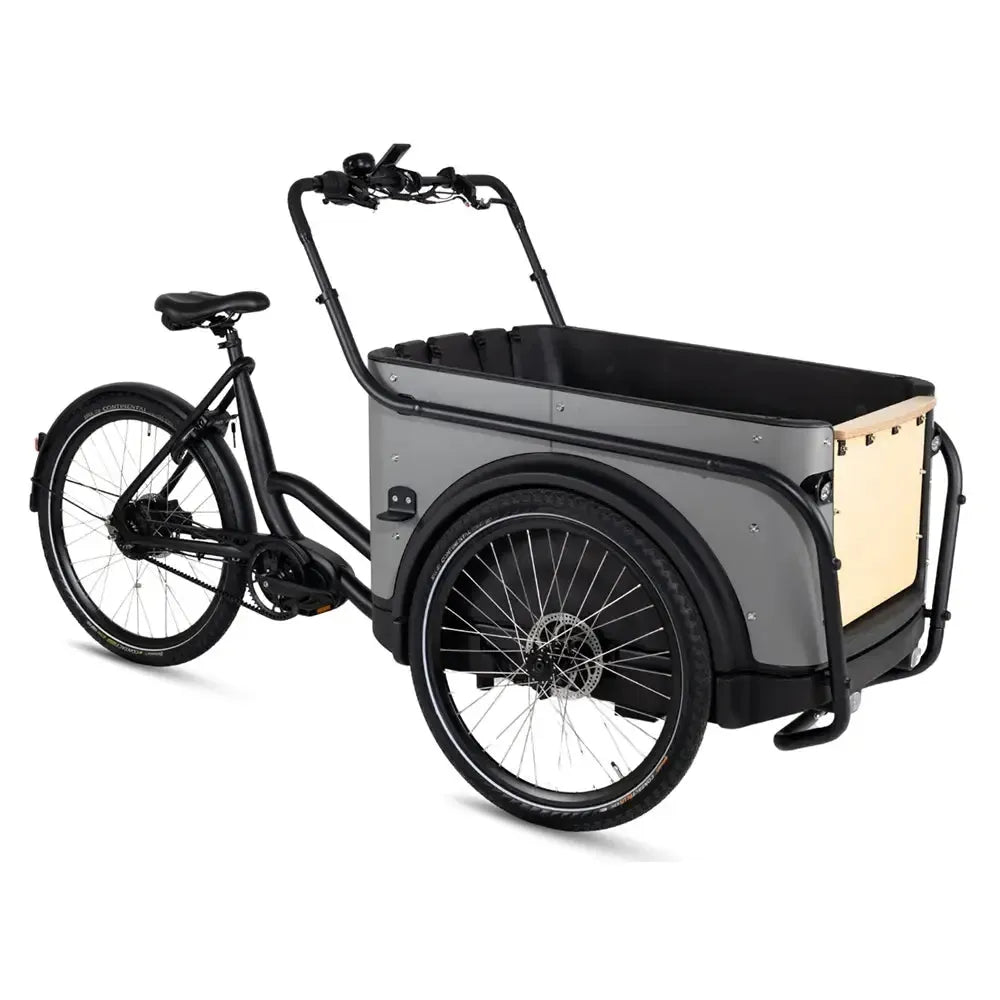 Royal Cargo Bike 3W Premium Plus – dūminės pilkos spalvos