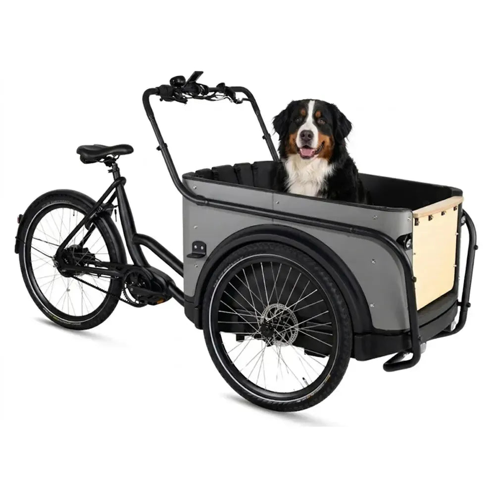 Royal Cargo Bike 3W Premium Plus – dūminės pilkos spalvos
