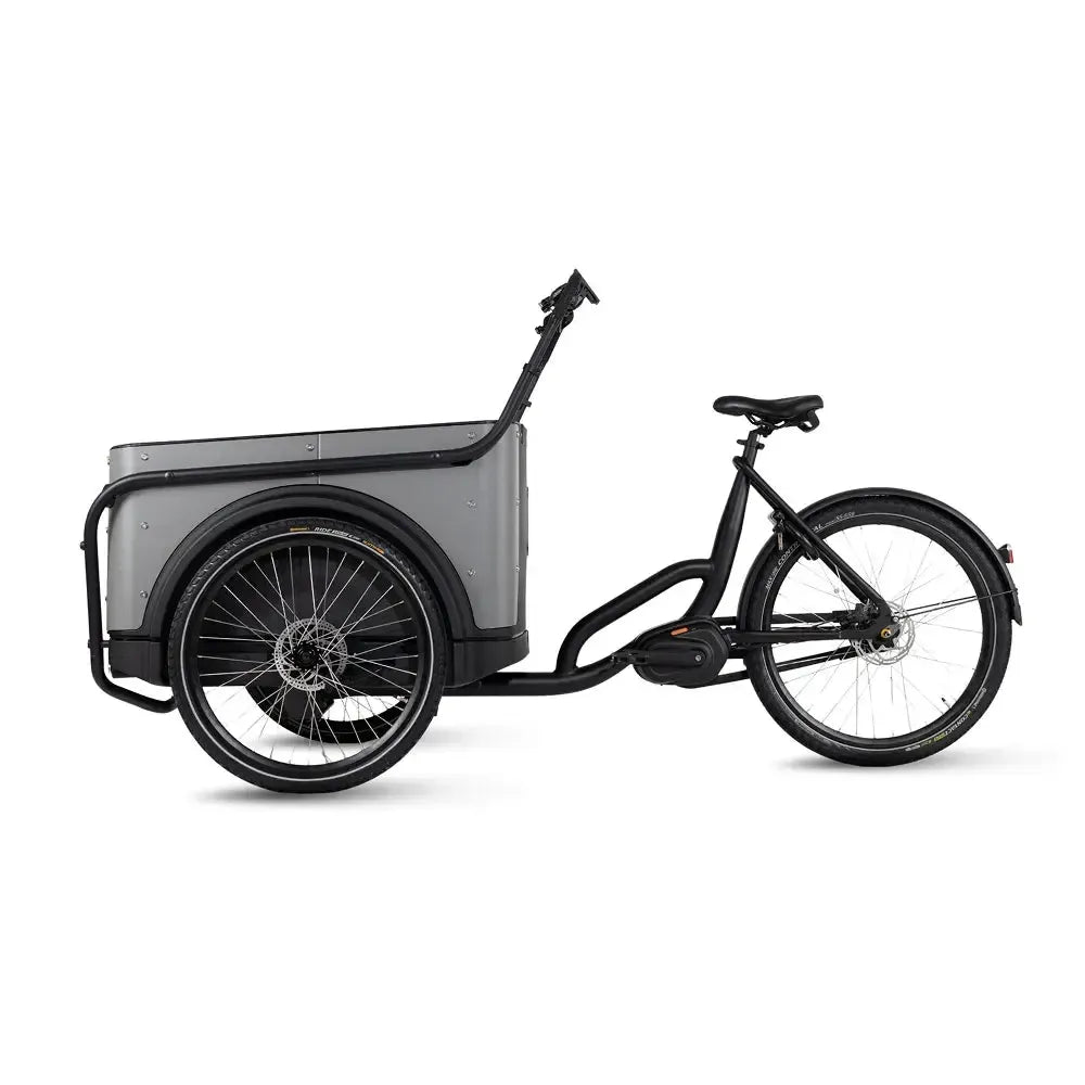 Royal Cargo Bike 3W Premium – smėlio spalvos