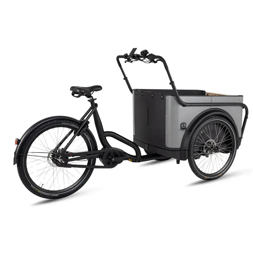 Royal Cargo Bike 3W Premium – smėlio spalvos