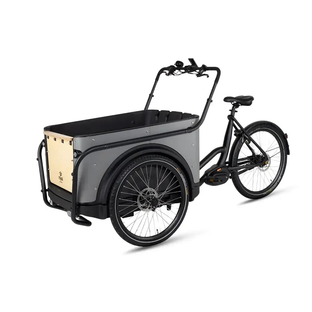Royal Cargo Bike 3W Premium – smėlio spalvos