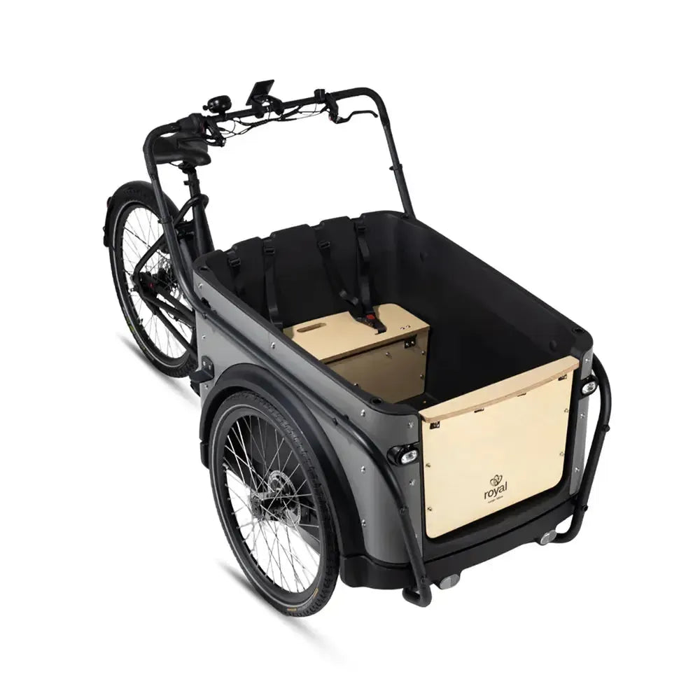 Royal Cargo Bike 3W Premium – smėlio spalvos