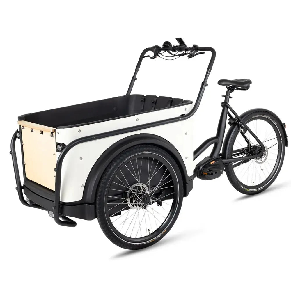 Royal Cargo Bike 3W Premium – Balta