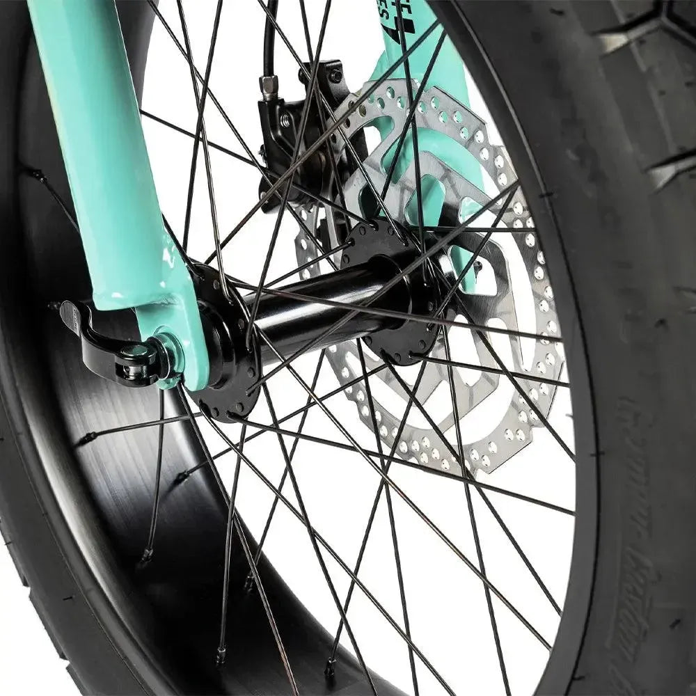 Ruff Cycles Lil'Missy – Holis