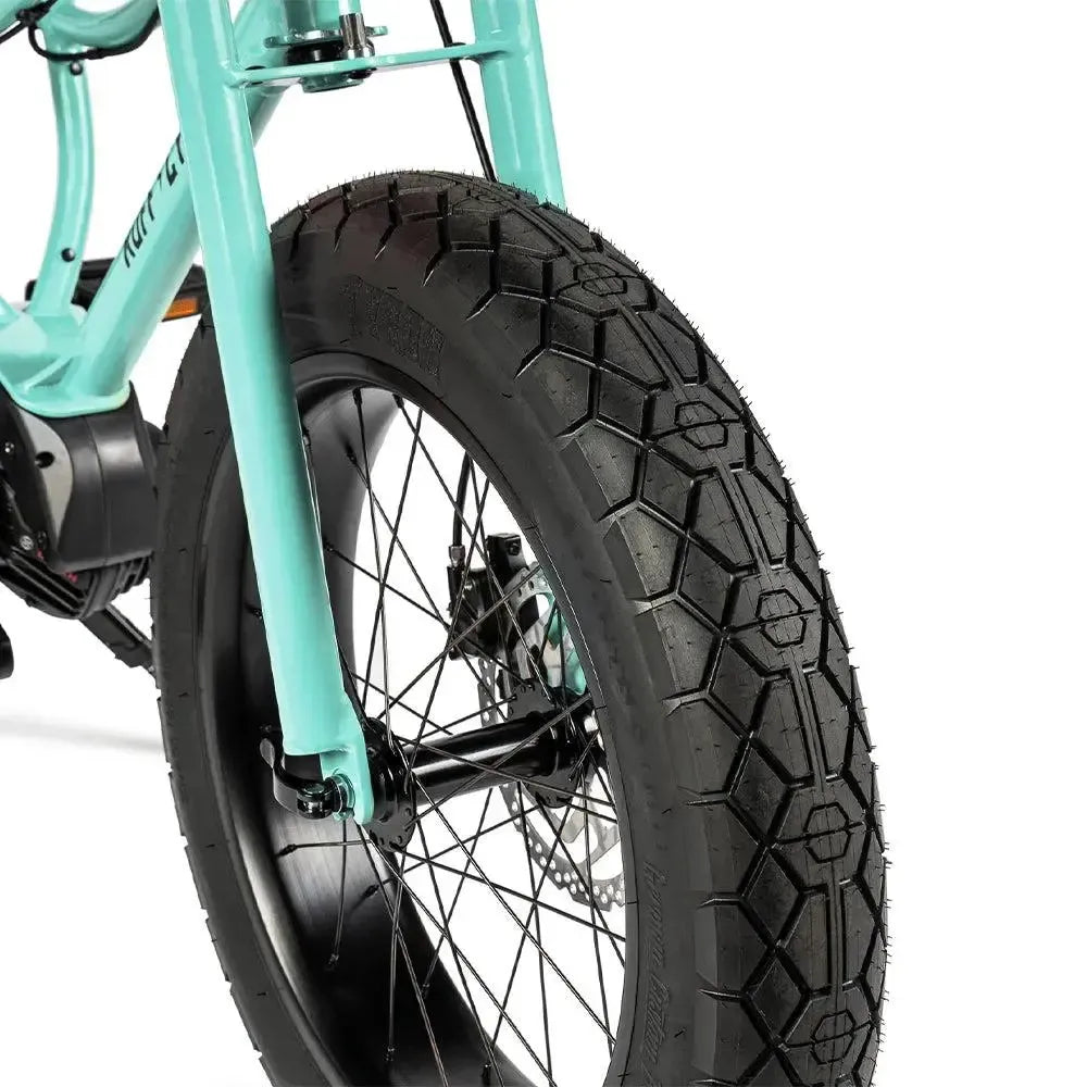 Ruff Cycles Lil'Missy – Holis