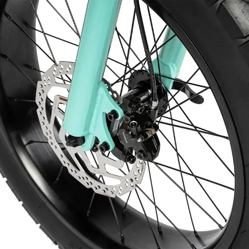 Ruff Cycles Lil'Missy – Holis