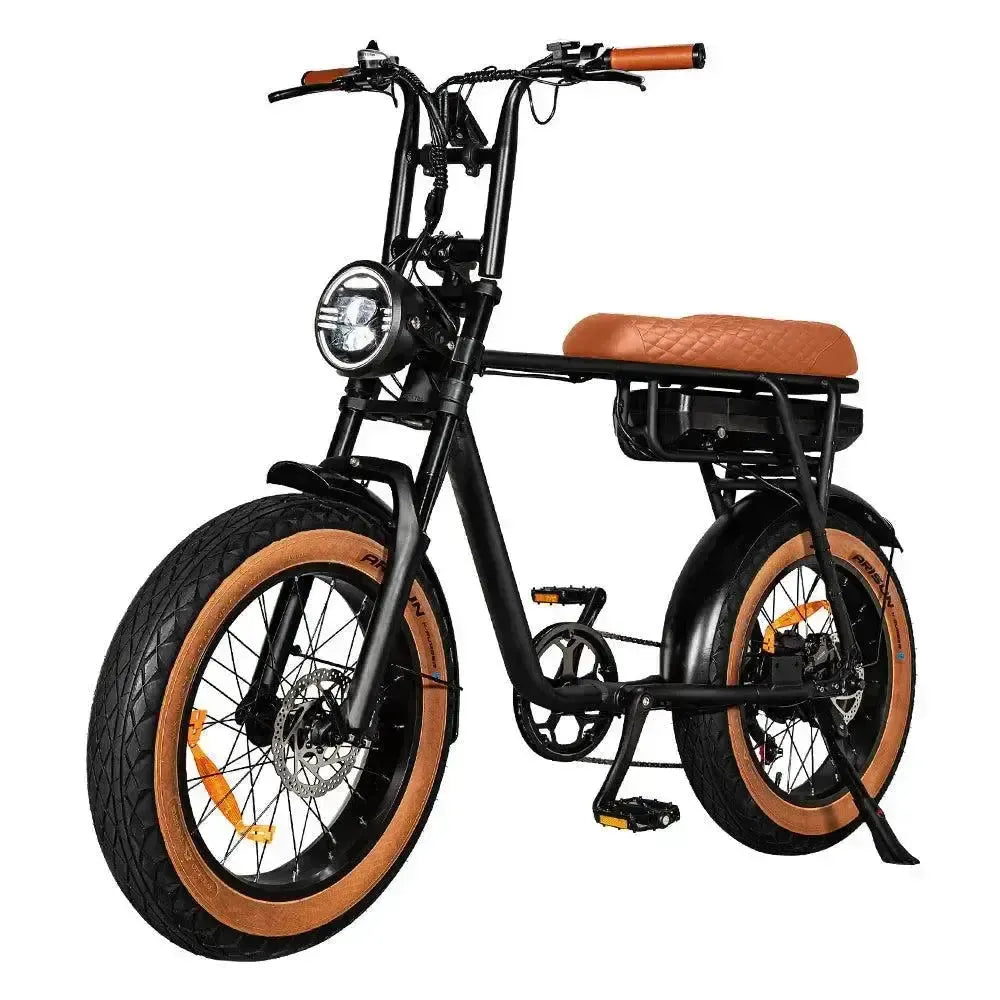 EB2 Pro – Bruin