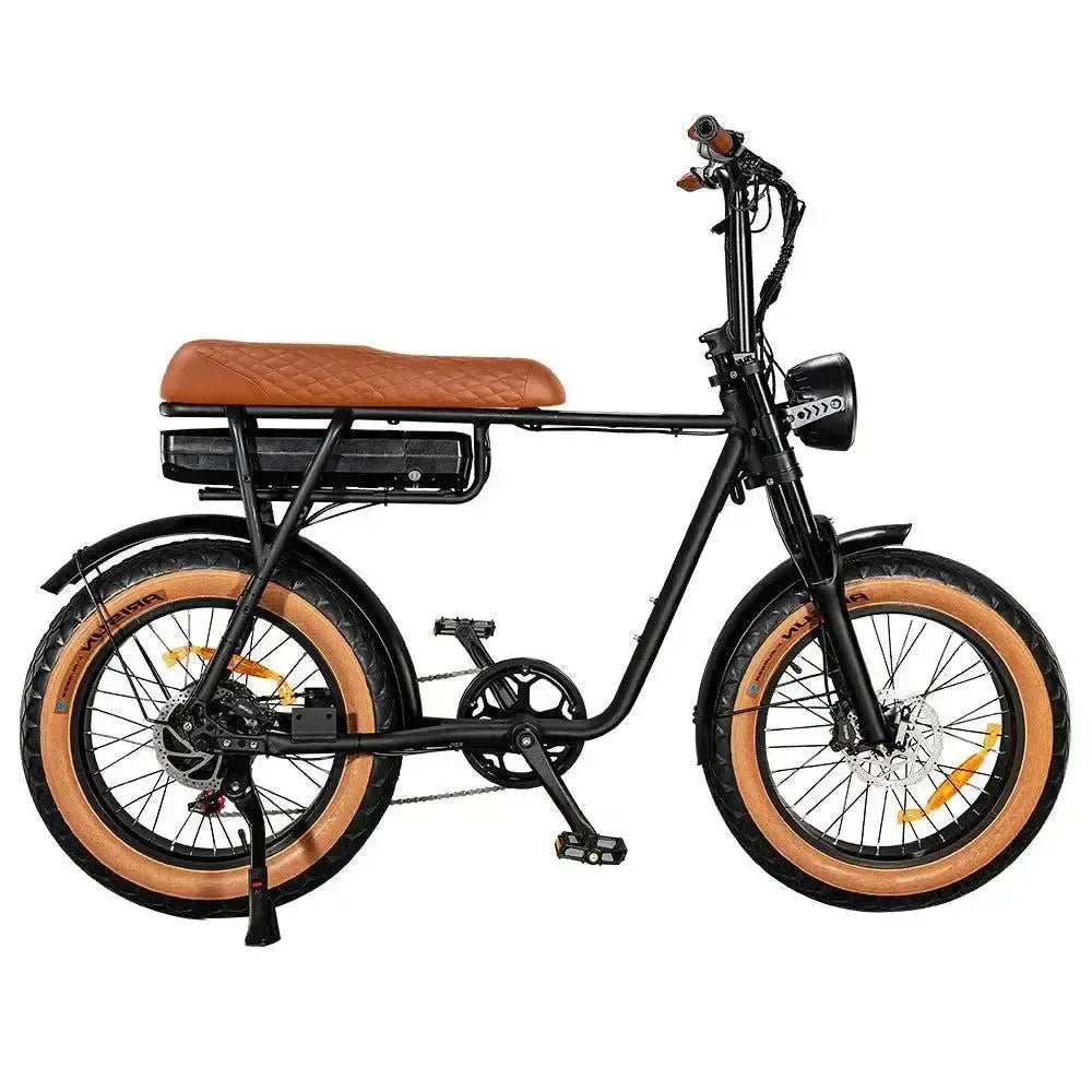 EB2 Pro – Bruin