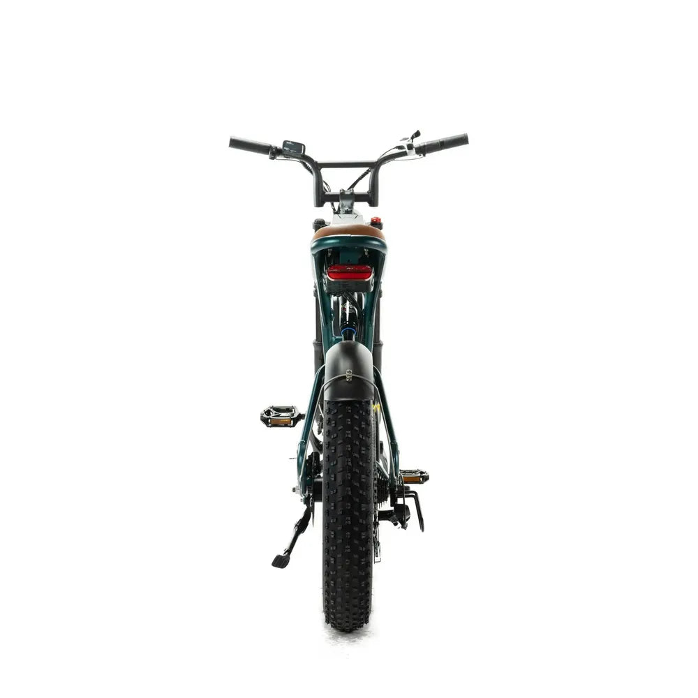 ENGWE M20 – Dviguba baterija – Žalia