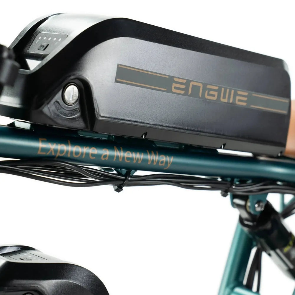 ENGWE M20 – Dviguba baterija – Žalia