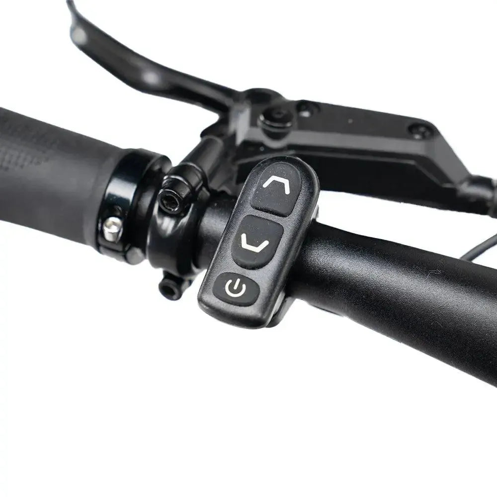 ENGWE Mapfour N1 Pro - Pilka