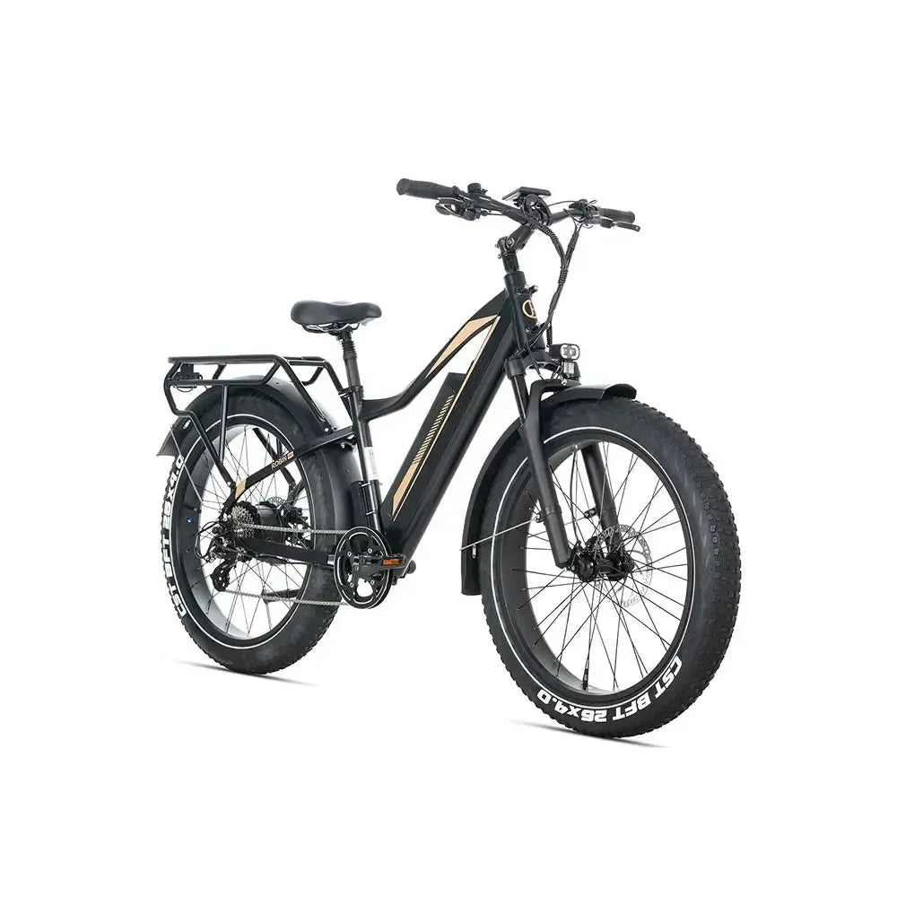 JOBOBIKE Robin Pro – Juoda-auksinė