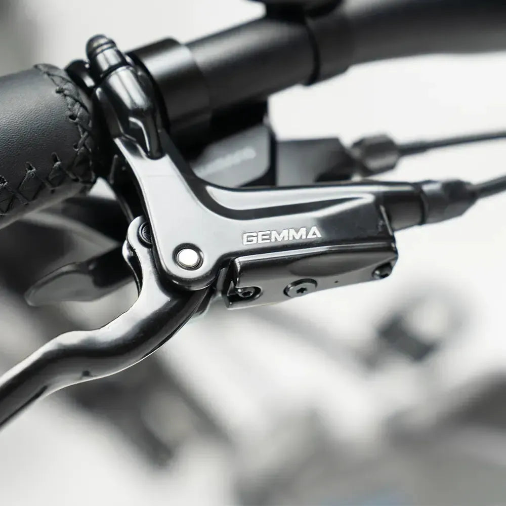 JOBOBIKE Romer Pro - Pilka