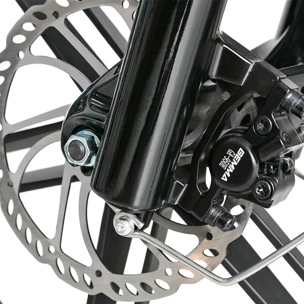 JOBOBIKE Transer - Longtail - Balta