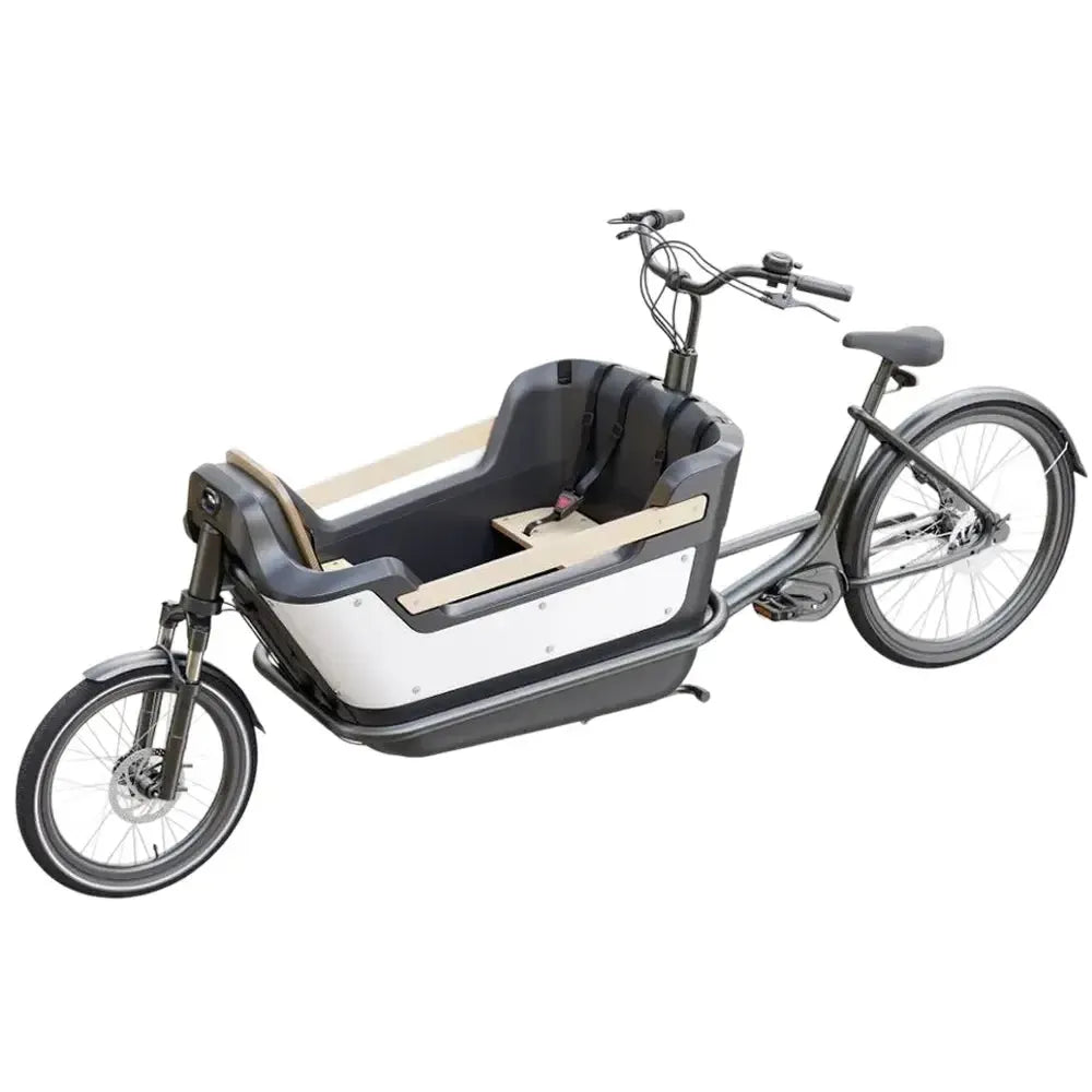 Royal Cargo Bike 2W Premium – Žalias