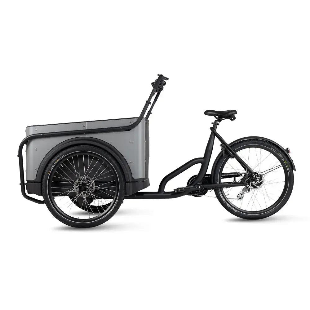 Royal Cargo Bike 3W Eco – Pilka