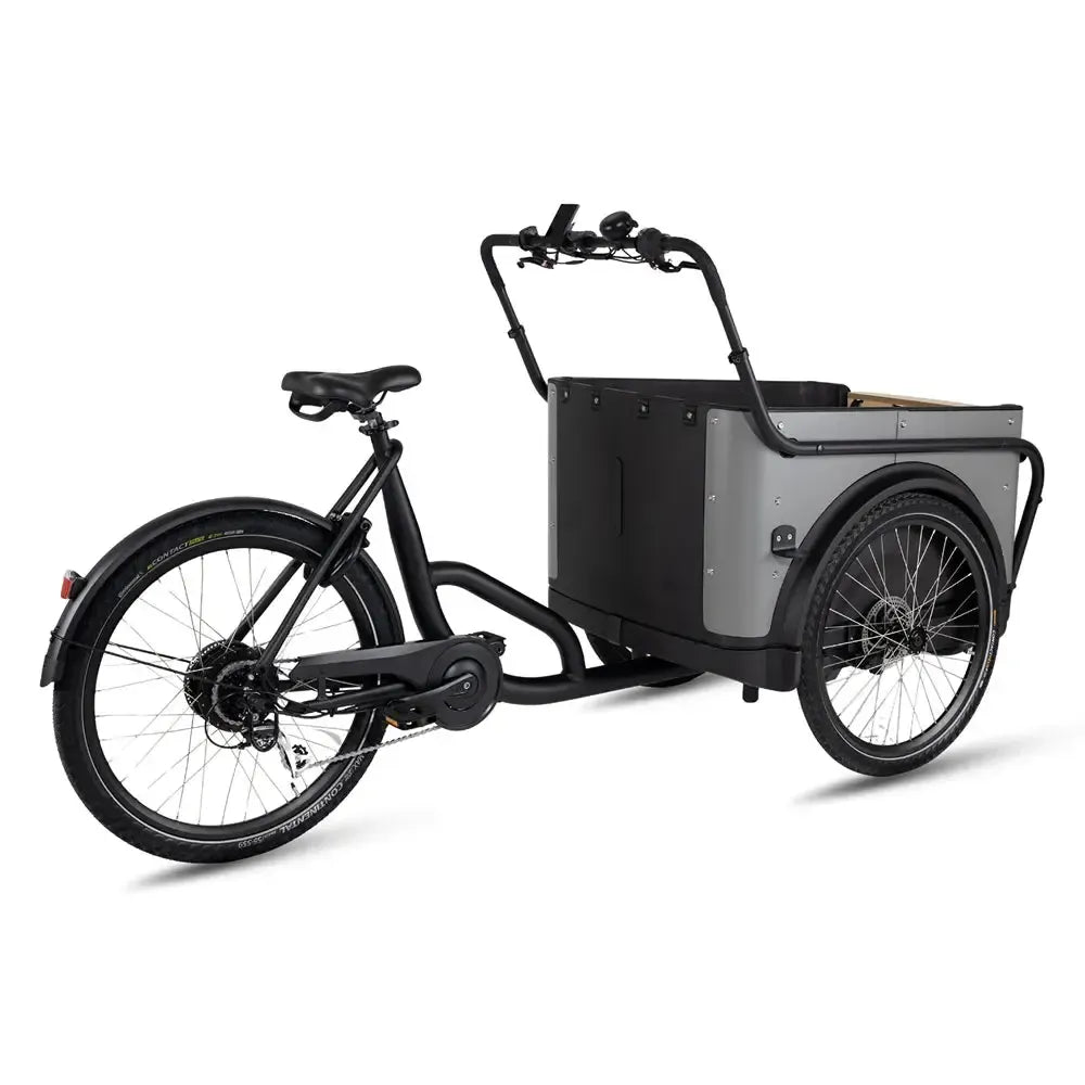 Royal Cargo Bike 3W Eco – Pilka