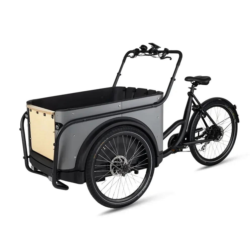 Royal Cargo Bike 3W Eco – Pilka