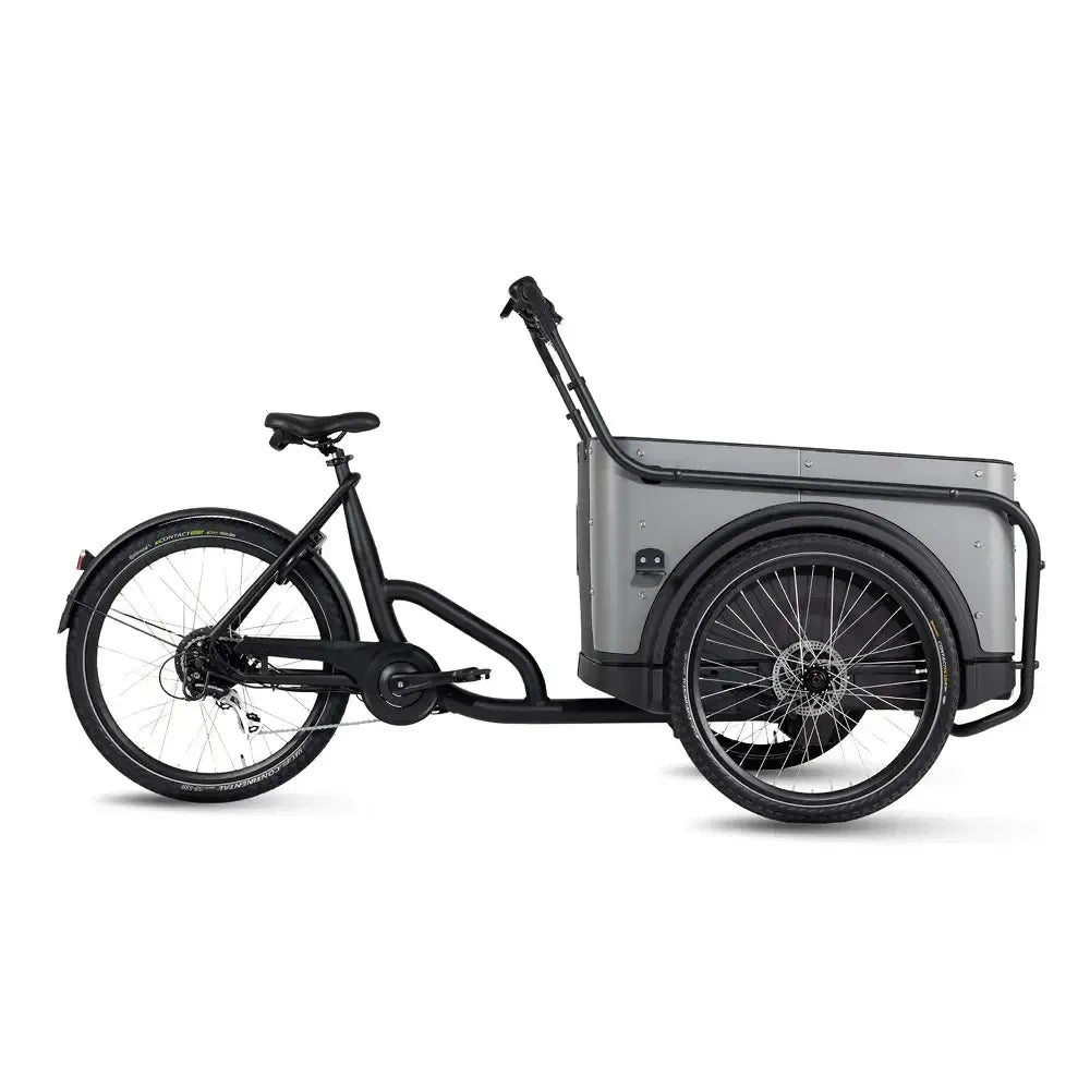 Royal Cargo Bike 3W Eco – Pilka