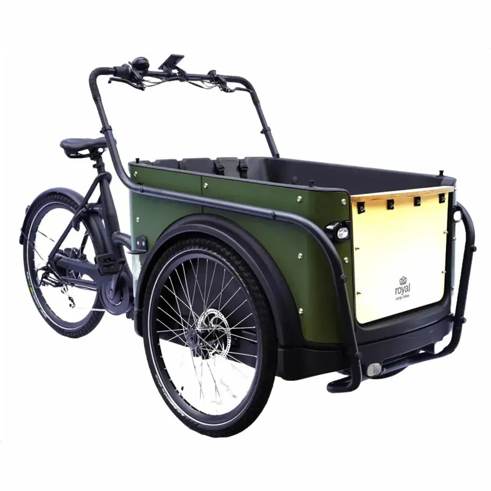 Royal Cargo Bike 3W Eco – Žalias