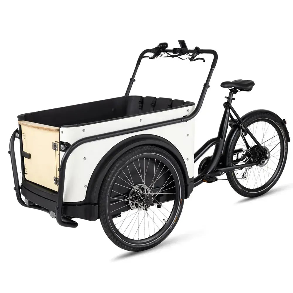 Royal Cargo Bike 3W Eco – Balta