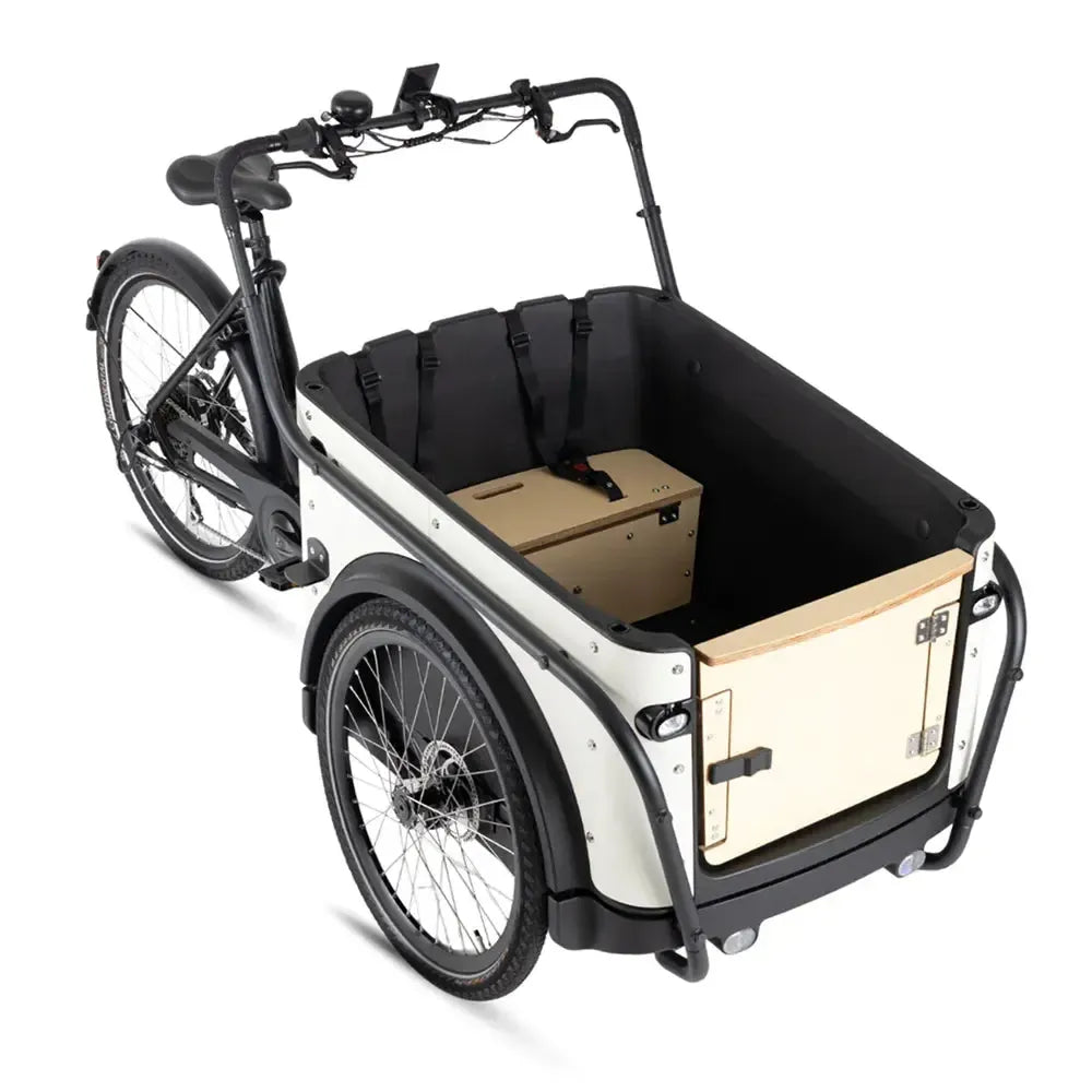 Royal Cargo Bike 3W Eco – Balta