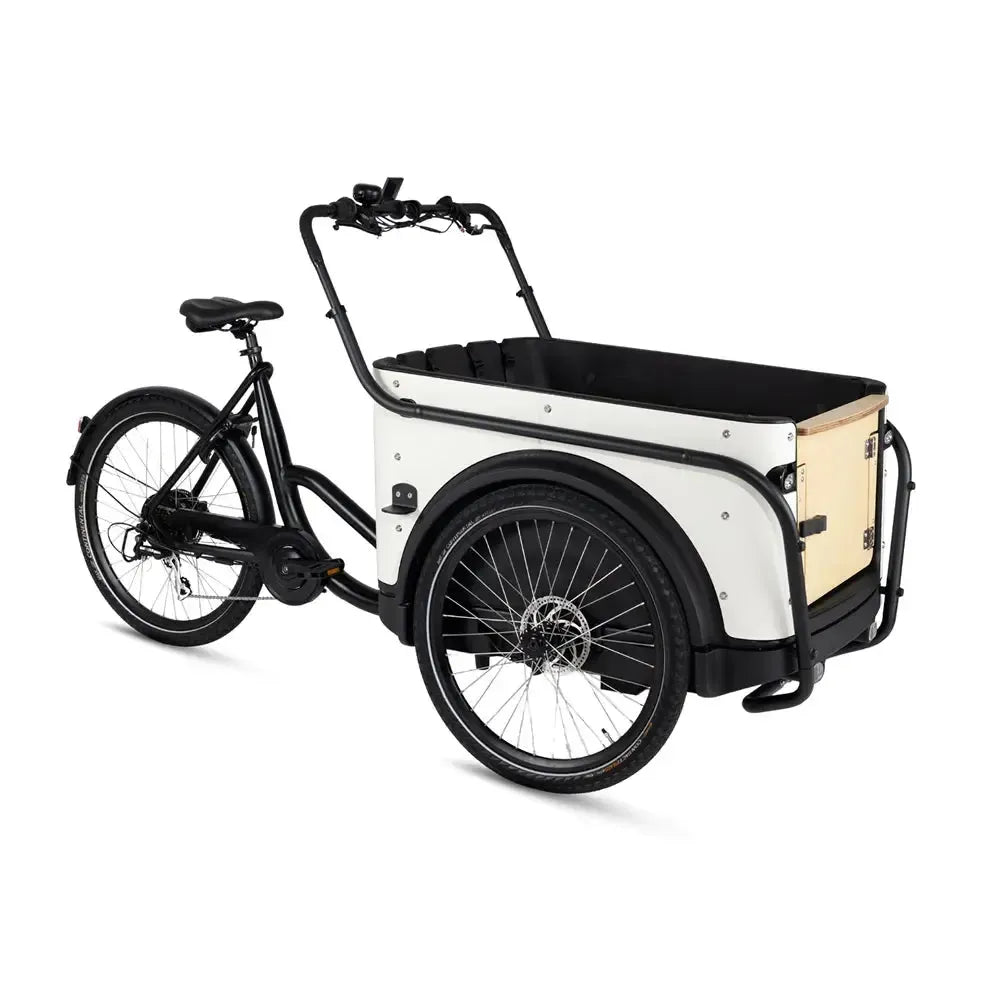 Royal Cargo Bike 3W Eco – Balta