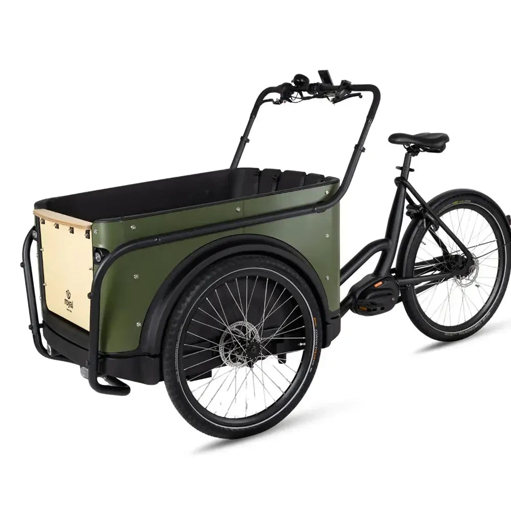 Royal Cargo Bike 3W Premium – Žalias