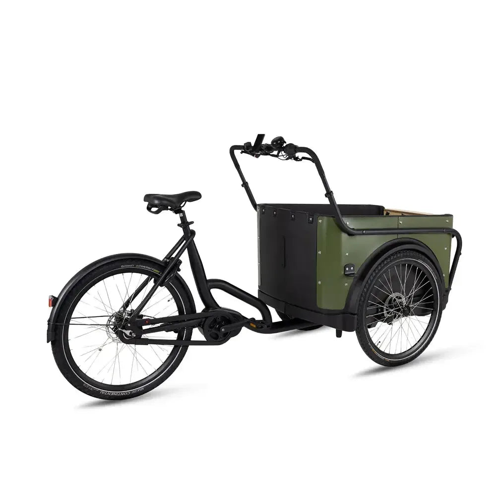Royal Cargo Bike 3W Premium – Žalias
