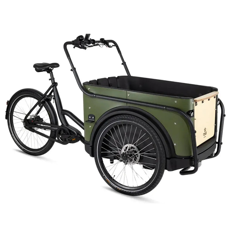 Royal Cargo Bike 3W Premium – Žalias