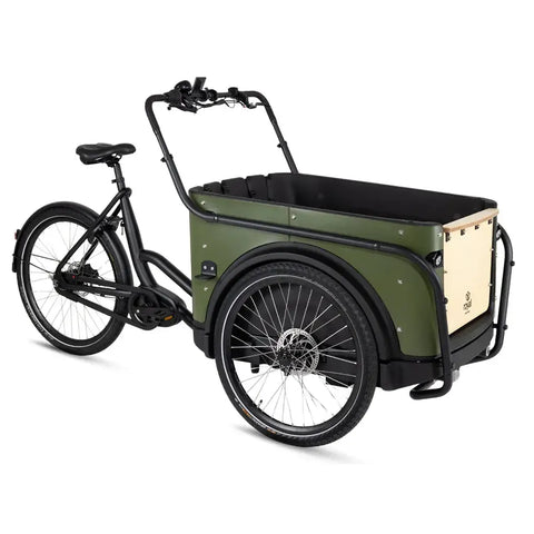 Royal Cargo Bike 3W Premium - Groen