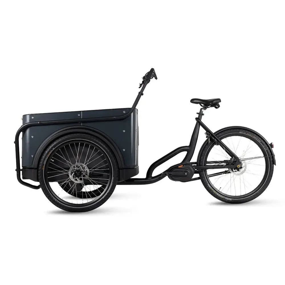 Royal Cargo Bike 3W Premium Plus – Antracitas